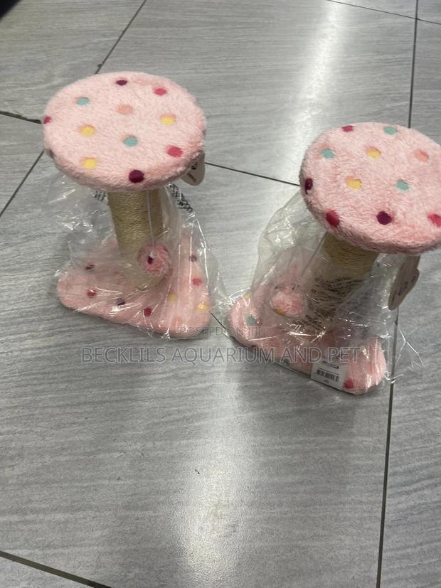 Pink Cat Scratching Post · Photo 2