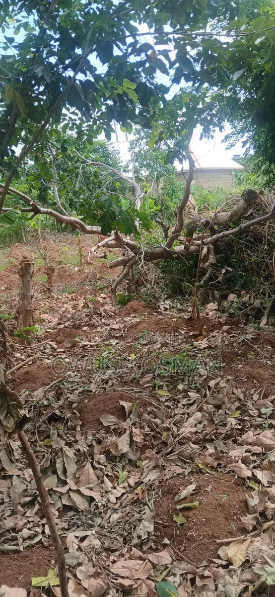 15 Plots on the Techiman to Kumasi Road Next to a Cement Factory · Photo 1