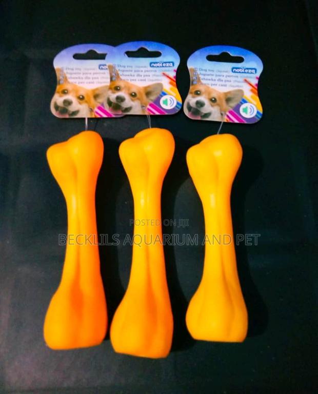 Dog Playing Toy Bone · Photo 1