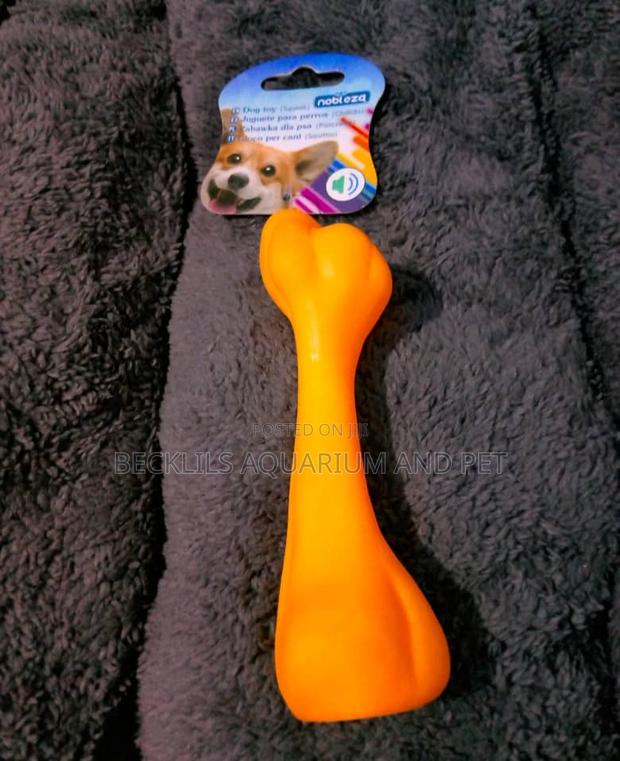 Dog Playing Toy Bone · Photo 2
