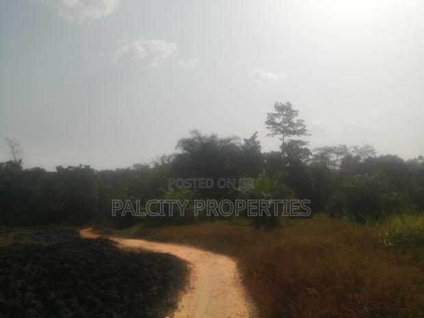 200 Acres of Farm Lands for Sale in Effiduase Areas · Photo 1