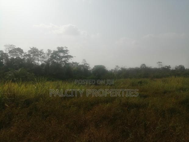 200 Acres of Farm Lands for Sale in Effiduase Areas · Photo 2