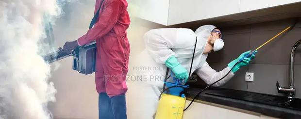 Manex Fumigation With Cleantex · Photo 5