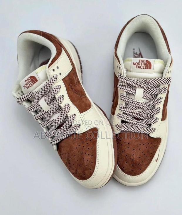 Nike Sb Dunk Low X North Face · Photo 2