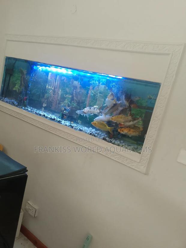 Wall Unit Aquarium · Photo 1