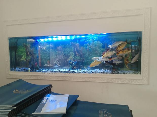 Wall Unit Aquarium · Photo 2