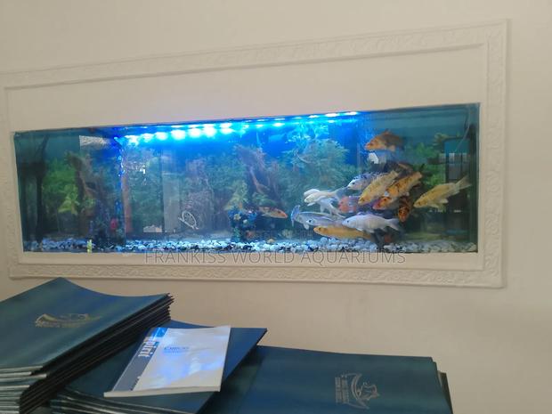 Wall Unit Aquarium · Photo 3