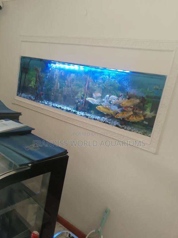 Wall Unit Aquarium · Photo 4