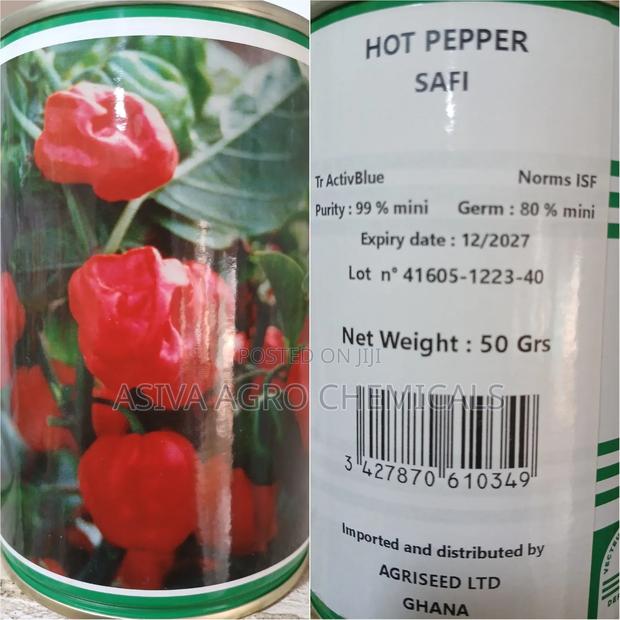 Safi Hot Pepper · Photo 2