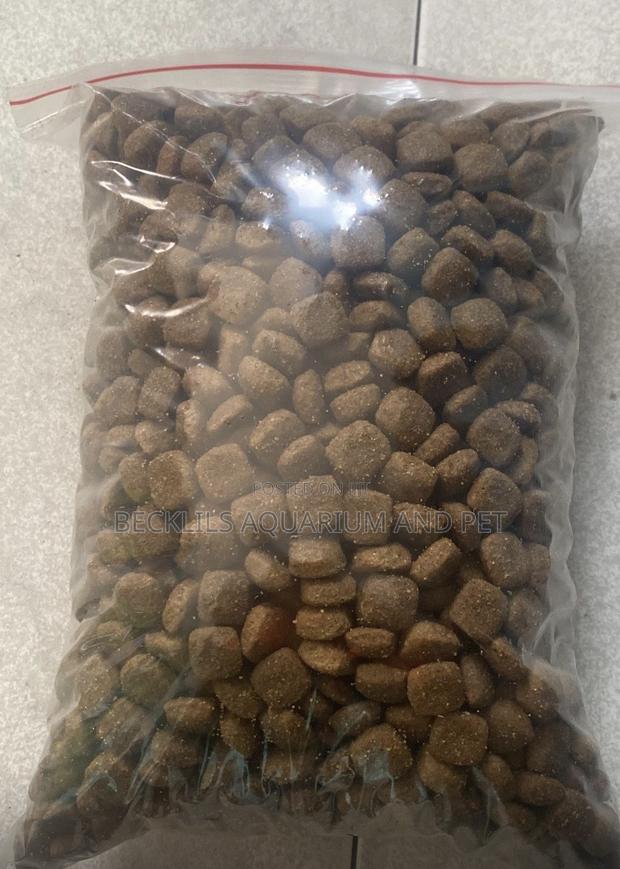 Puddle Dog Food · Photo 1