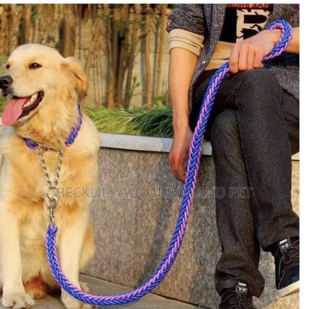 Collars With Leash for Bigger Dogs · Photo 1