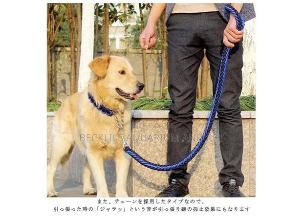 Collars With Leash for Bigger Dogs · Photo 2