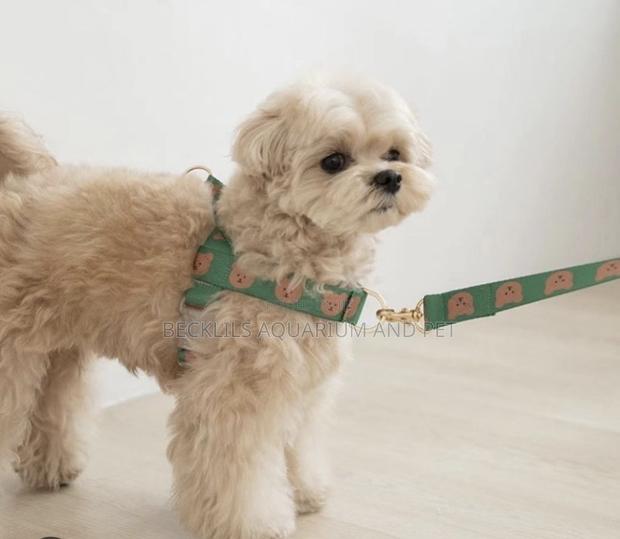 Harness With Leash For Small Dogs · Photo 2