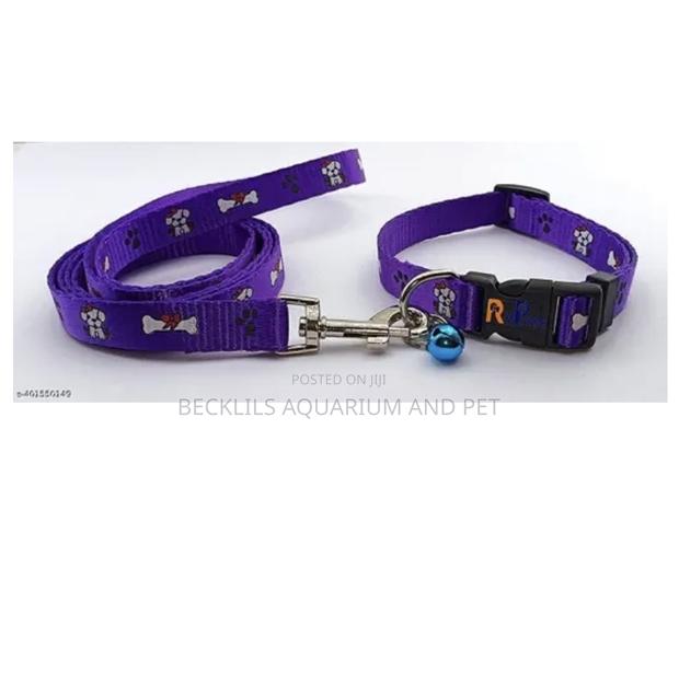 Adjustable Collar With Leash Set · Photo 1