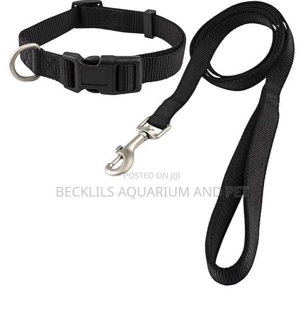 Adjustable Collar With Leash Set · Photo 2