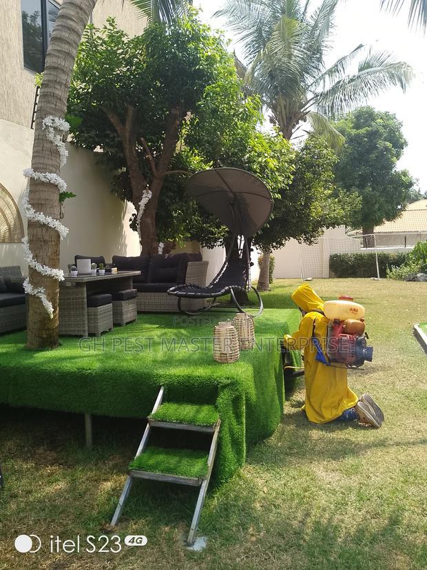 General Fumigation Service for Reptiles and Insecticide · Photo 3