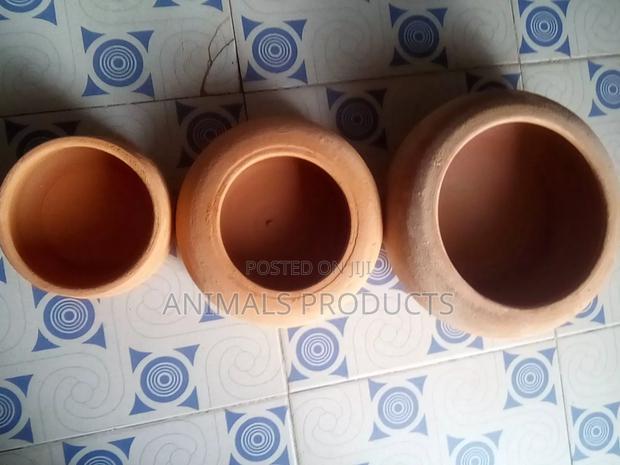 Drinkers And Feeders For Rabbits And Grasscutters · Photo 1