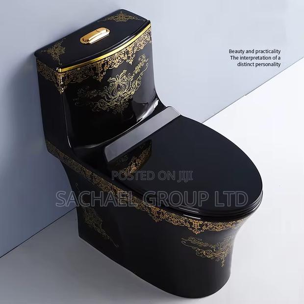 Luxurious Vanity Water Closet · Photo 4