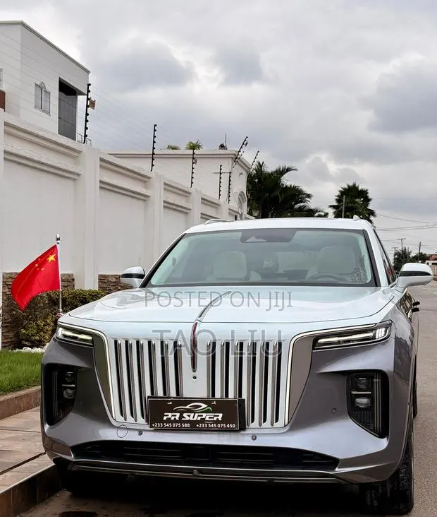 Hongqi E-HS9 Premium 2023 Gray · Photo 1