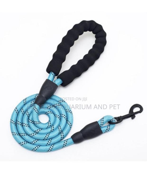 Dog Leash for Training Dogs · Photo 1