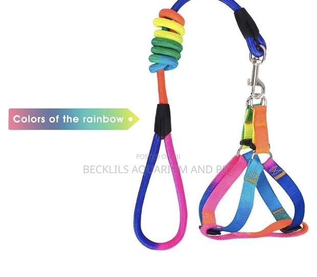 Rainbow Dog Leash With Harness · Photo 3