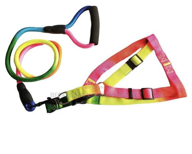 Rainbow Dog Leash With Harness · Photo 2