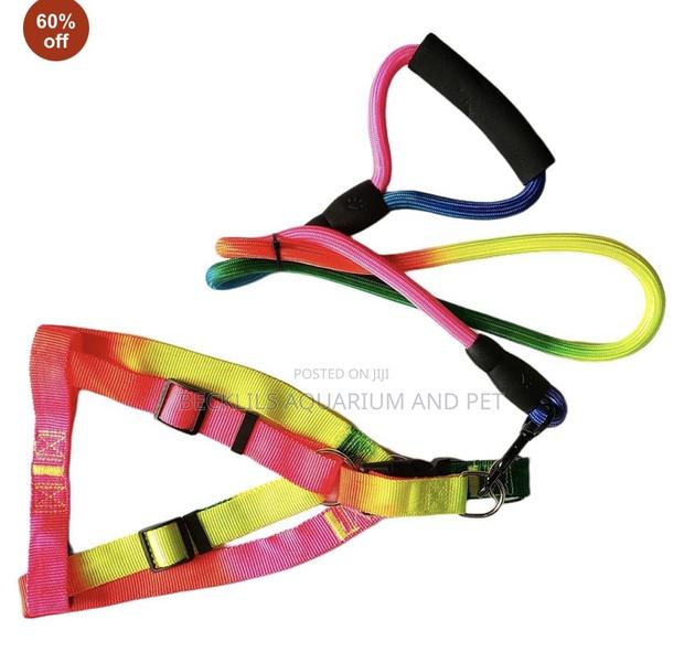 Rainbow Dog Leash With Harness · Photo 1
