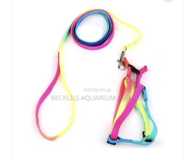 Rainbow Dog Harness With Leash for S/ M Dogs · Photo 1