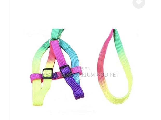 Rainbow Dog Harness With Leash for S/ M Dogs · Photo 2