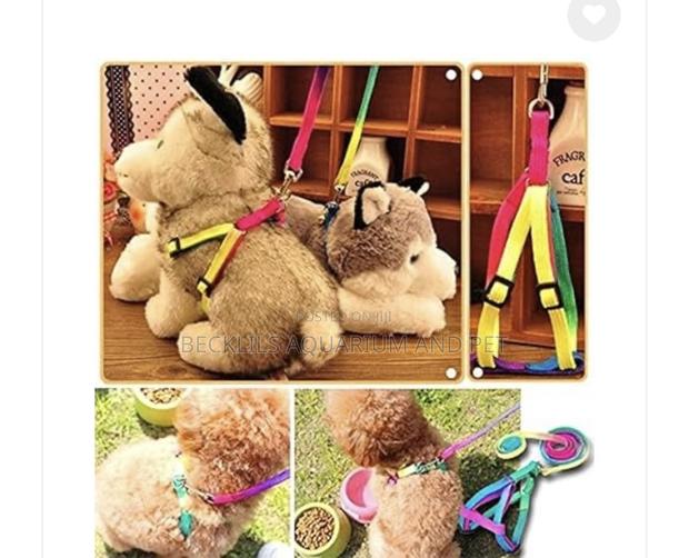 Rainbow Leash With Harness Available for Small Dogs · Photo 1