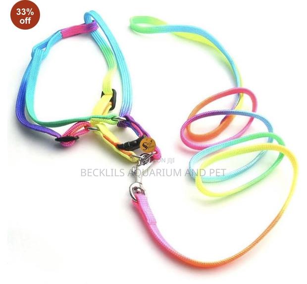 Rainbow Leash With Harness Available for Small Dogs · Photo 3