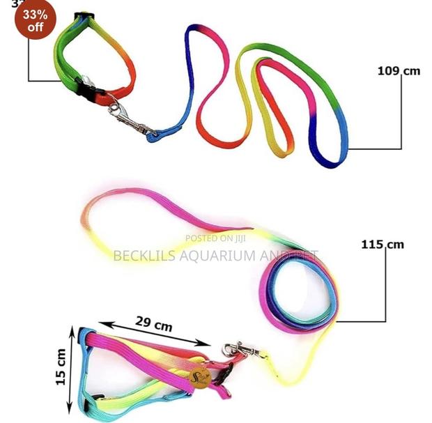 Rainbow Leash With Harness Available for Small Dogs · Photo 2