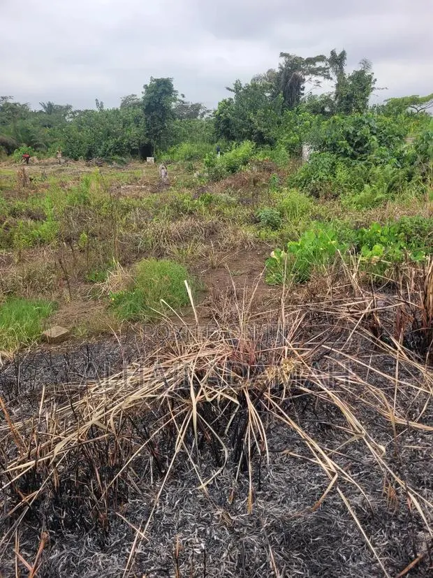 Two Plots of Land for Sale at Santa'si Ampetia · Photo 1