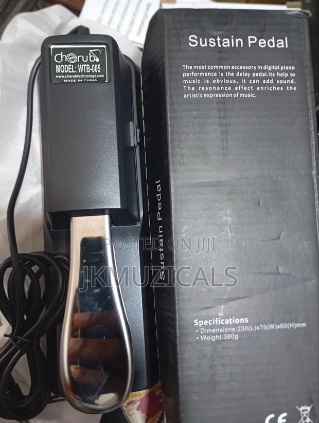 Sustain Pedal _ Universal · Photo 5