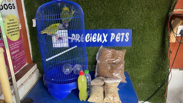 Full Package Pet Bird · Photo 2
