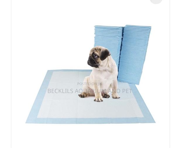 Dog Disposable Diapers (100 Pieces) · Photo 2