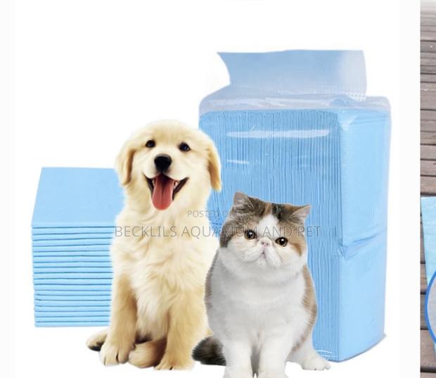 Dog Disposable Diapers (100 Pieces) · Photo 1