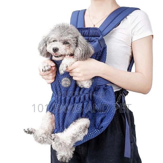 Doglemi Pet Carrier Available · Photo 7