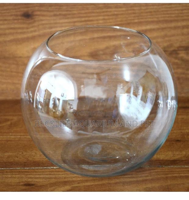 Round Pet Bowl · Photo 1
