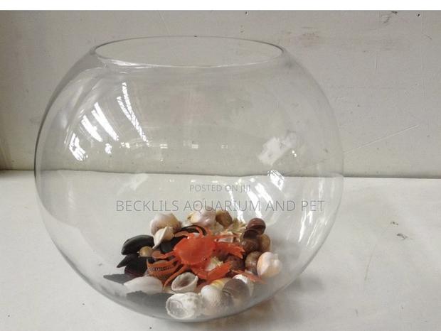 Round Fish Bowl With Fish · Photo 2