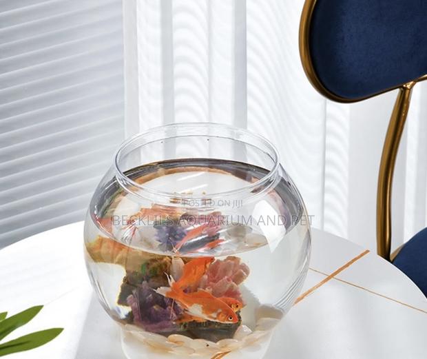 Round Fish Bowl With Fish · Photo 1