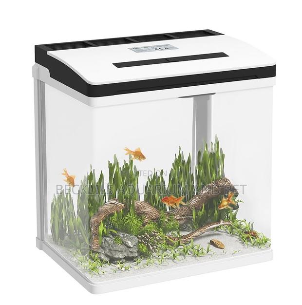 Aquarium Fish Tank · Photo 3