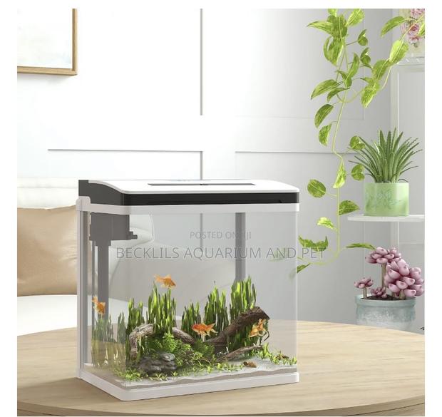Aquarium Fish Tank · Photo 1