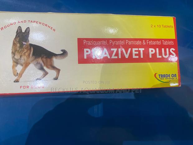 Quality Dewormer for Dogs · Photo 2