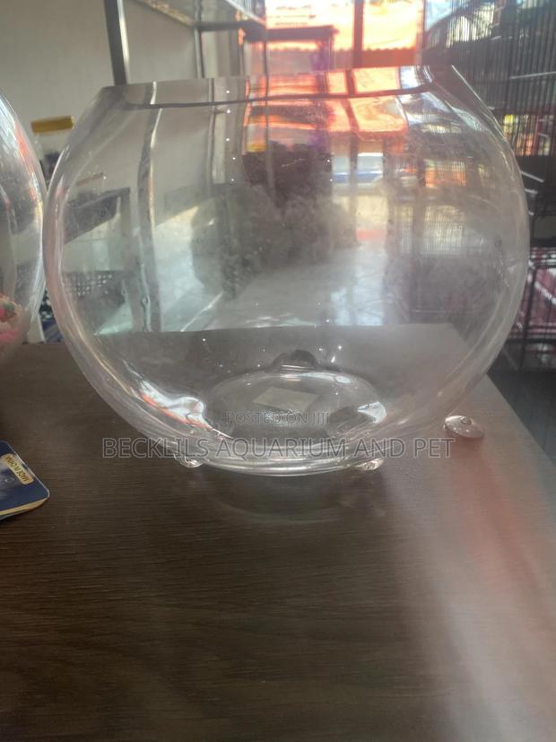 Round Pet Bowl · Photo 2