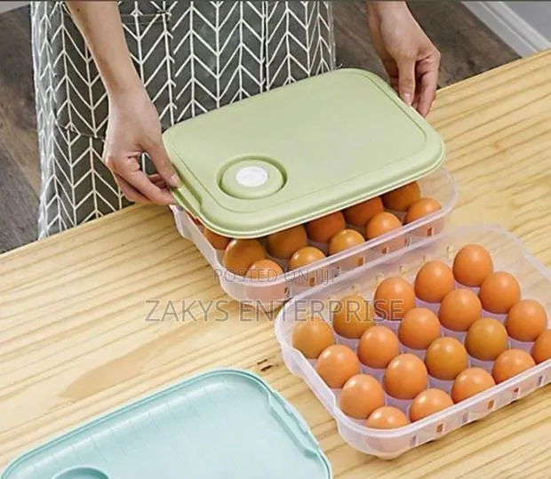 Plastic Egg Storage/Egg Crate · Photo 1