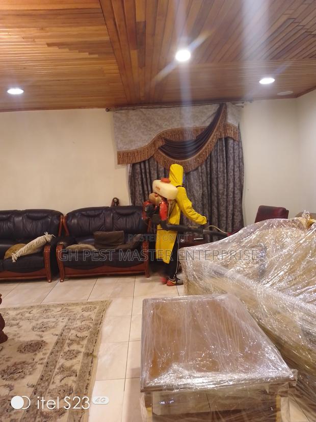 Bedbug,Cockroache,Bees,Mosquitoe,Snake Pest Control Service · Photo 1