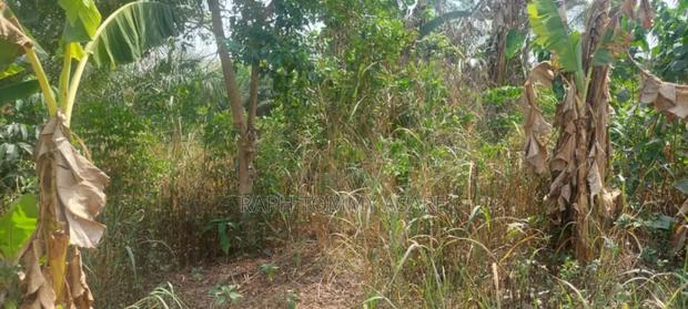 3 Plots of Land Located at Kwabere Kasaam for Sale · Photo 5
