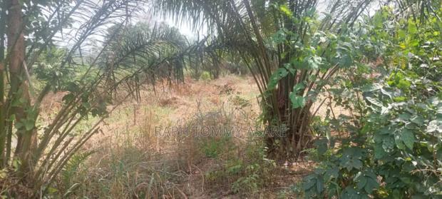 3 Plots of Land Located at Kwabere Kasaam for Sale · Photo 6