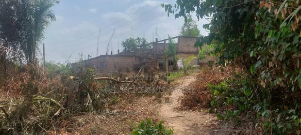 3 Plots of Land Located at Kwabere Kasaam for Sale · Photo 7